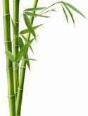 bamboo fabric