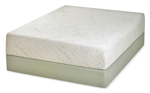10" Luxury Eco Memory Foam Mattress