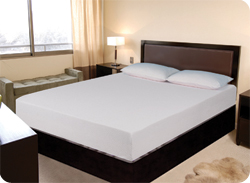 9" LifeStyle Plush Visco 
