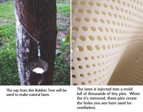 Trifold sofa bed mattress