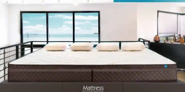 Texas King Bed Mattress