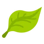 Green eco leaf icon