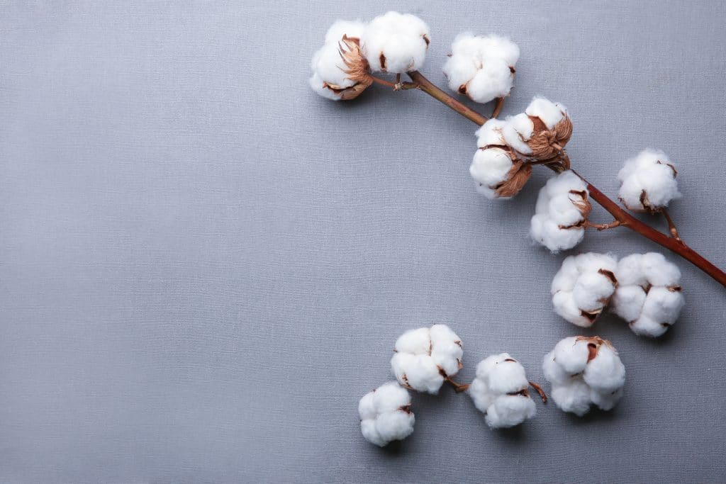 Organic cotton mattress material close-up