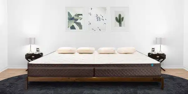 Bed Frame with Mattress