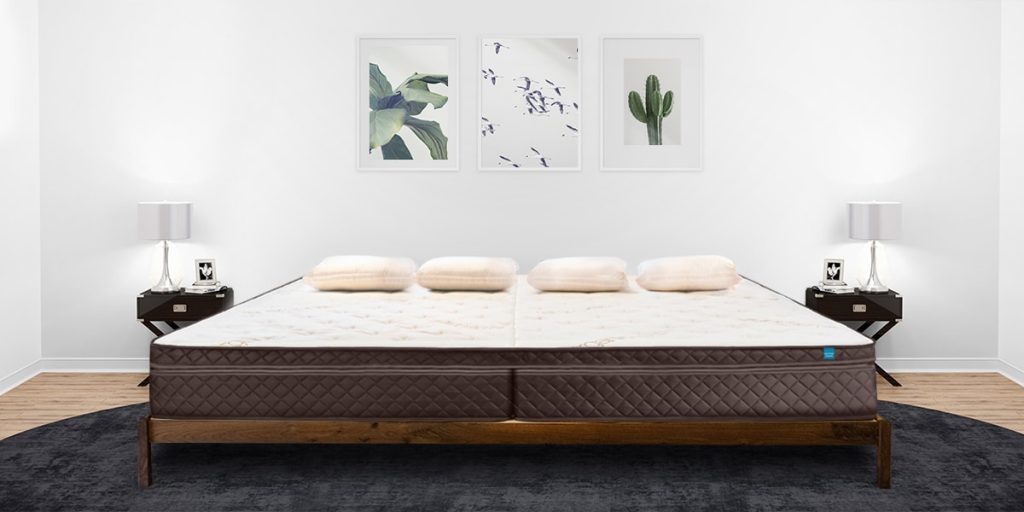 Bed Frame with Mattress