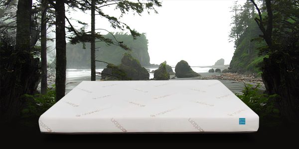 Image of SUV mattress