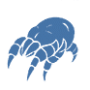 Dust_Mite.png