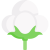 cotton.png