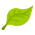 leaf-icon-1.png leaf-icon-1.png