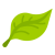Green eco-friendly leaf icon
